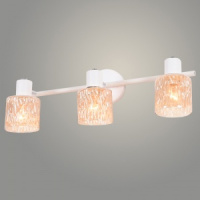 eee6579a734811ee8e70ac1f6b013bb9_f322fca2f1bd11ee8e80ac1f6b013bb9.resize1