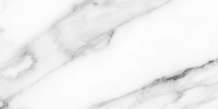 Carrara-grey-glossy-wall-01-300kh600-F1