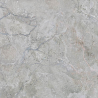 Sigiriya-G-серый-418-х-418-6