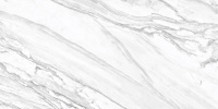 D12065M