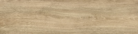 GP1560TAN11_01