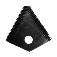 56252