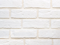 1a1e73c615e98717cdcb8044d4aad1b1