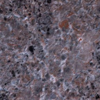NF-00013218
