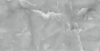 TP3666B