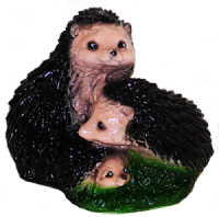 сем