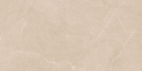 ceradim-stone-divine-beige-bezhevyj-matovyj-60kh120