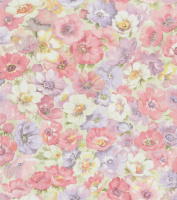 20230119030132_Anemony_6270-3