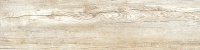 GP1560CHL55_01
