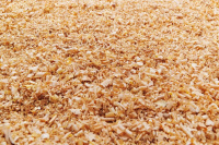 widen_960_crop_1000_667_0_0_q90_3811212_52c7a1011d9f96326a8e675d2