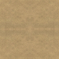 218b480286cd62d078191d7471bf8586