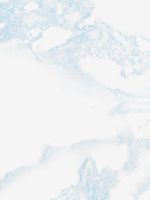 U8b38e01b378d41329ac0f2c2352d883aW