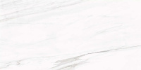 244133_main