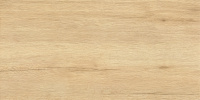 60120LAM11M_01