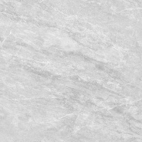 Cameo-grey-PG01-450x450-F1-kopiya