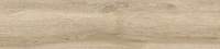GP2090REL11R_01