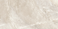 D120262M_01