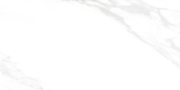 ceradim-carrara-excellent-silver-belyj-matovyj-60kh120