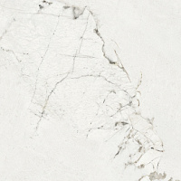 zpq7sqav3vx9t63dkokzbvfvqjql007o