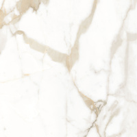 ceradim-calacatta-superior-belyj-polirovannyj-60kh60