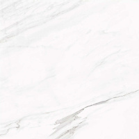 callacata silver 60x60