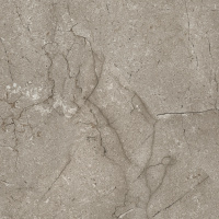 Ground-brown-PG-01-450kh450-F2