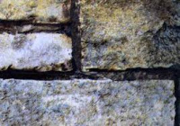 Без названия (1)