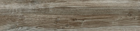 gfa92chr44r_02