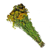 d1bb29893b5dffc962f19b4a4e20df19