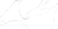 31011_large