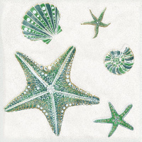 SMALTO MARE 1 BIANCO +150+150