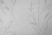 CAT_MACRO_PHOTOlI_PP72596-41_(1)