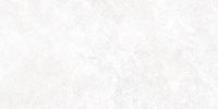 TWU09TON000+500+249