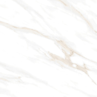 ceradim-calacatta-clarity-gold-belyj-polirovannyj-60kh60