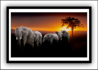 Захват20221024162342