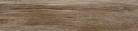 GP2090EXC21R_01