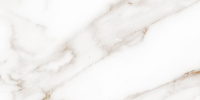 Carrara-gold-glossy-wall-01-300kh600-F1-kopiya-1