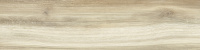 GP1560PEP05_01