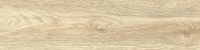 GP1560TAN01_01
