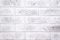 b80ebcac3544b1e82608273bac72fcd2