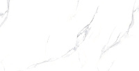 Дамон белый (ТР3628А) 300х600х8,5