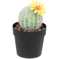 e0bb7ddc51dc848bfbc6228beb33f465