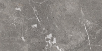 a17781_5