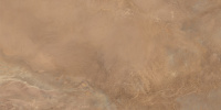 60120ELX31P_01