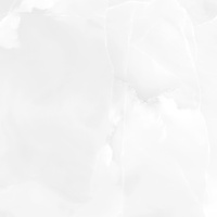Moonrise-white-PG-01-F1-450kh450