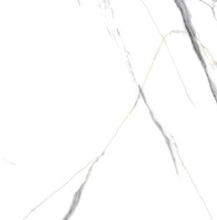 TP453648D_4