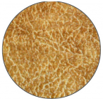 komplekt_dlya_obivki_dveri_s_izolonom_210kh105sm_seryy_242272