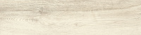GP1560CRW01_01