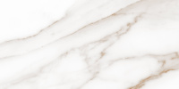 Carrara-gold-matt-wall-01-300kh600-F9-kopiya
