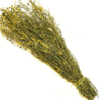 855f57d7b1820d06f4ae75d30337e7fd